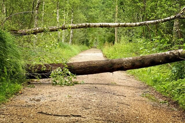 storm-damage cleanup Annapolis MD